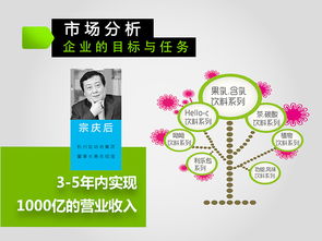 激活品牌新活力 娃哈哈2013-2016年度市場營銷策劃方案